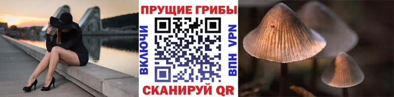 Галлюциногенные грибы GOLDEN TEACHER omg зеркало Октябрьск